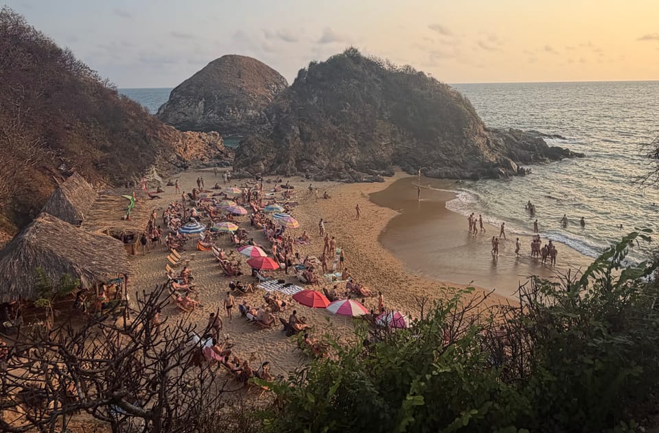 Safe Space for a Foursome on the Beach
